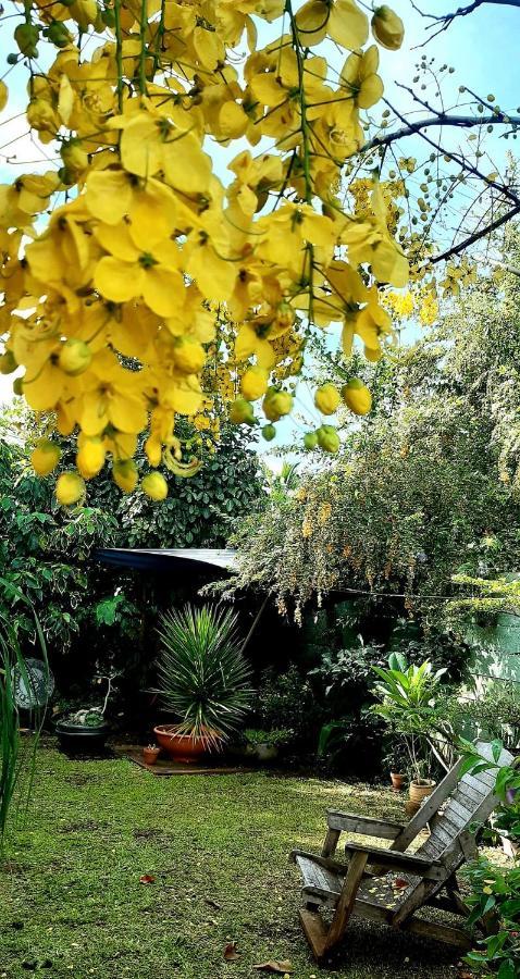 La Maison Canopee, Votre Guest House A Saint-Leu Eksteriør billede